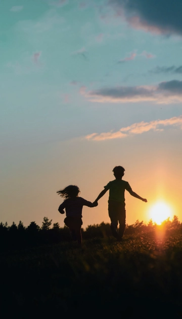 Main Section 1 Image 1