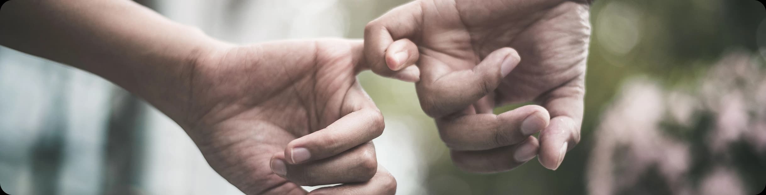 Main Section 2 Image 2