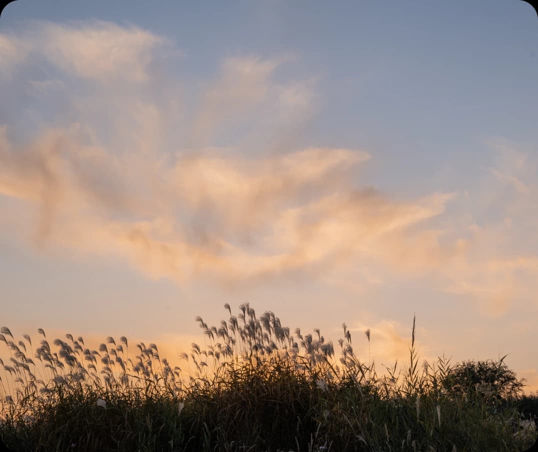 Main Section 3 Image 1