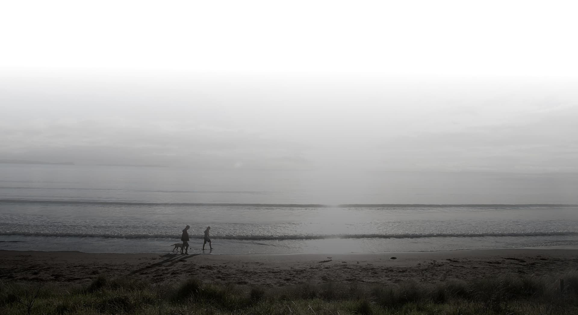 Main Section 4 Background