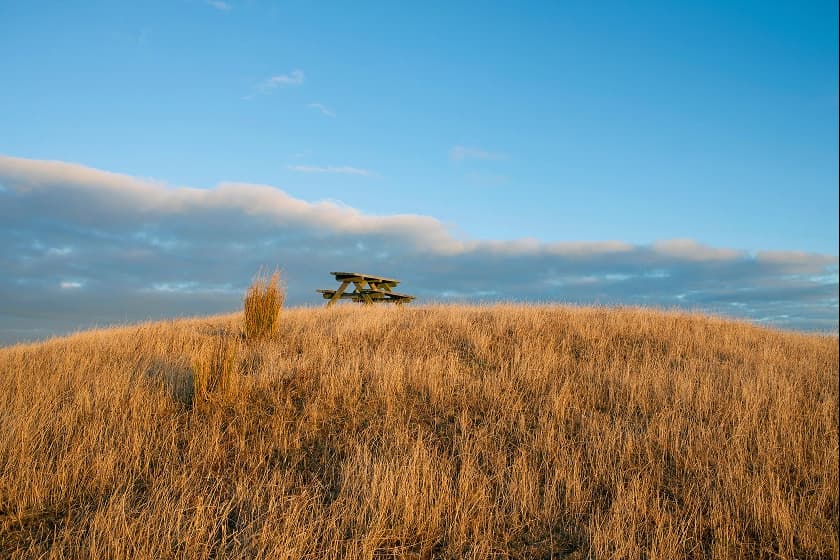 Main Section 4 Image