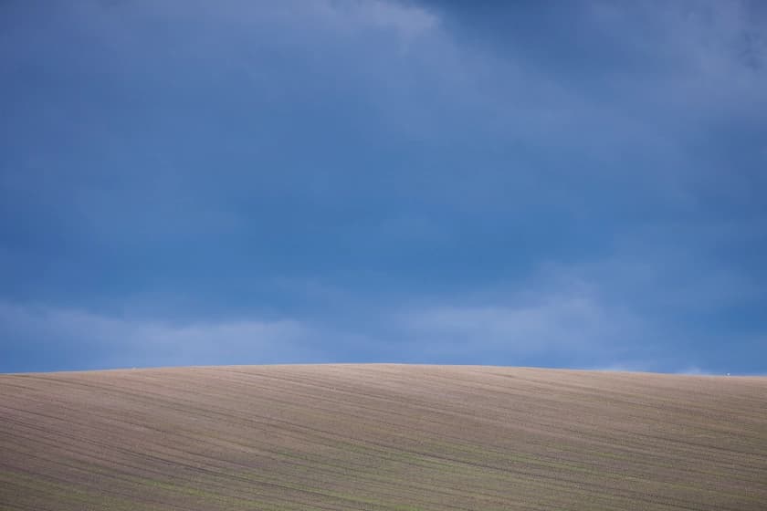 Main Section 4 Image